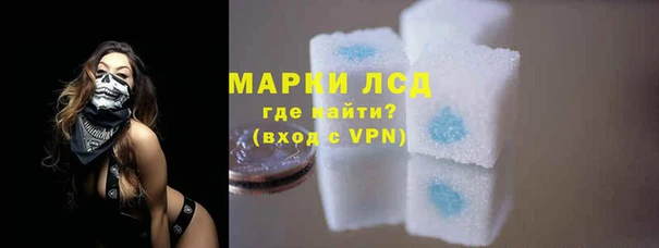 крисы Касимов