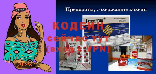 крисы Касимов
